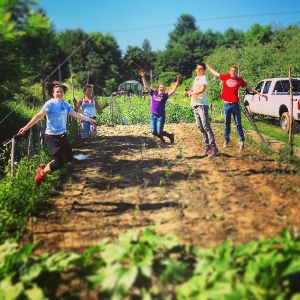 Gleaners at Liberty View Farm