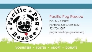 Pug rescue