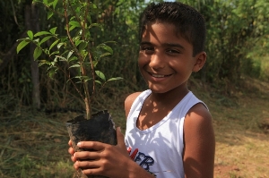 Tree Planting Event in Brazil