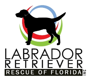 Labrador Retriever Rescue of Florida, Inc.