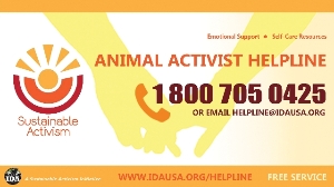 Animal Activist Helpline