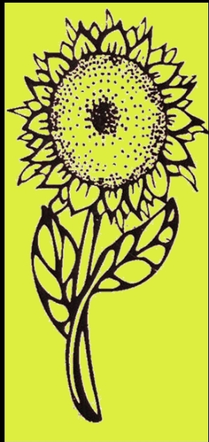 CPLC Sunflower