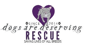 Dogs are Deserving Rescue