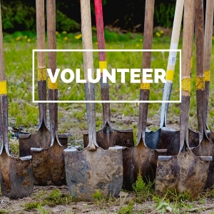 Volunteer + shovels