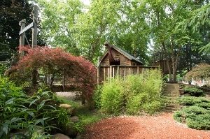 Aaron's Treehouse
