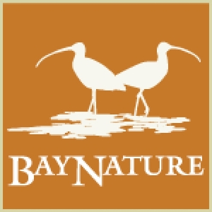 Bay Nature Institute