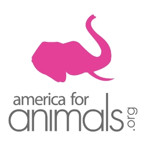 America for Animals