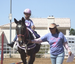 2014 Charity Horse Show