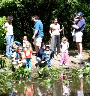 Family program at the pond