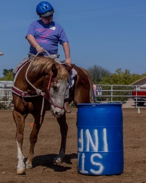 2014 Charity Horse Show