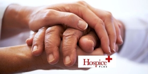 Hands Hospice Plus 2