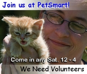 Love Animals? You Can Help!