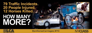 Ban Horse Carriages in NYC