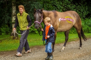 Equine Assisted Psychotherapy