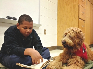 Reading Education Assistance Dog at work