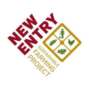 New Entry Logo