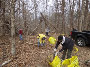 Volunteers Removing Invasive Plants