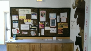 Discovery Room Bulletin Board