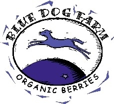 Blue Dog Farm donates berries for SnoValley Tilth!