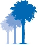 PP Trees