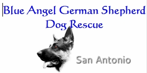 BLUE ANGEL GERMAN SHEPHERD DOG RESCUE