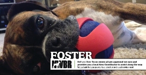 Foster Cover