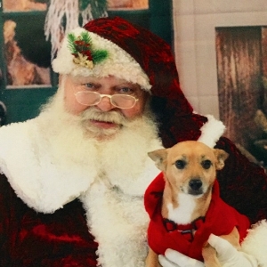 Photos with Santa at the Holiday Pet Festival
