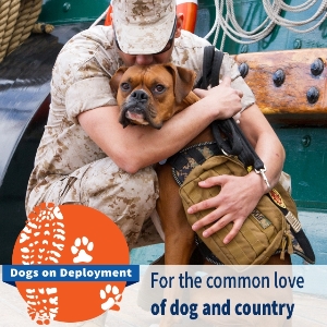 Dogs on Deployment Needs Your Help!