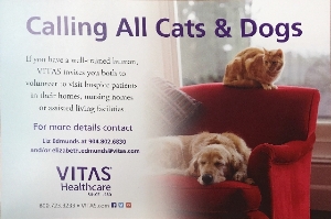 Calling All Dogs and Cats