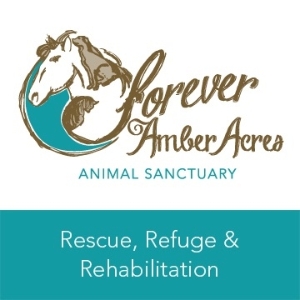 A Forever Home at Forever Amber Acres