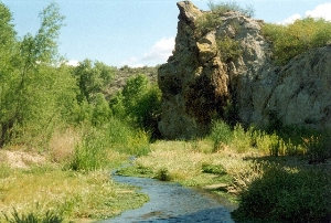 Hassayampa River