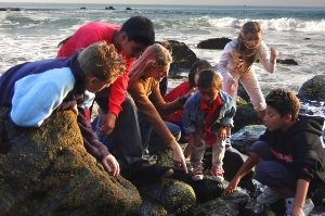 Be a Difference Maker...Become a Tidepool Docent