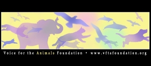 VFTA Logo