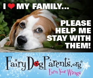 I heart my family beagle