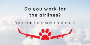 Do you work for the airlines