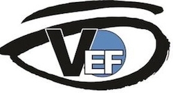 Visual Experience Foundation Logo