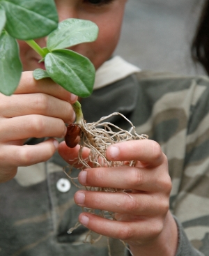 A child learning about plants