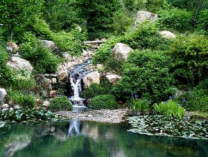 A Waterfall at Quarryhill Botanical Garden