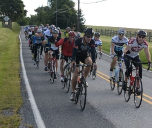 2015 Cyclists
