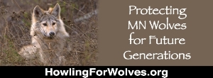 Protect MN Wolves