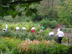 Volunteers at Reeves-Reed Arboretum