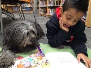 Reading Education Assistance Dogs program