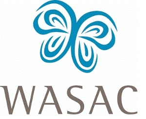 Small Web Logo