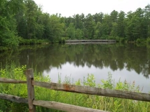 Crowder Pond
