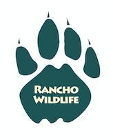 Rancho Wildlife Foundation