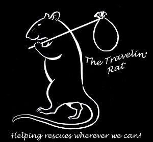 The Travelin' Rat
