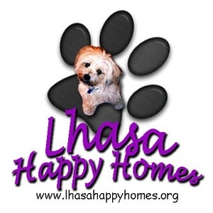Lhasa Happy Homes Rescue!