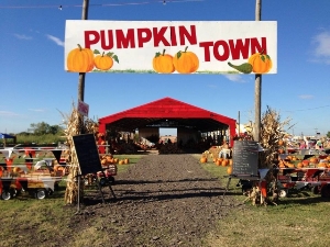 Pumpkin Town