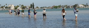 Volunteers passing oyster shell bags
