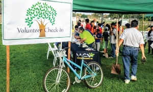 Volunteer for the SB City Tree Planting Event